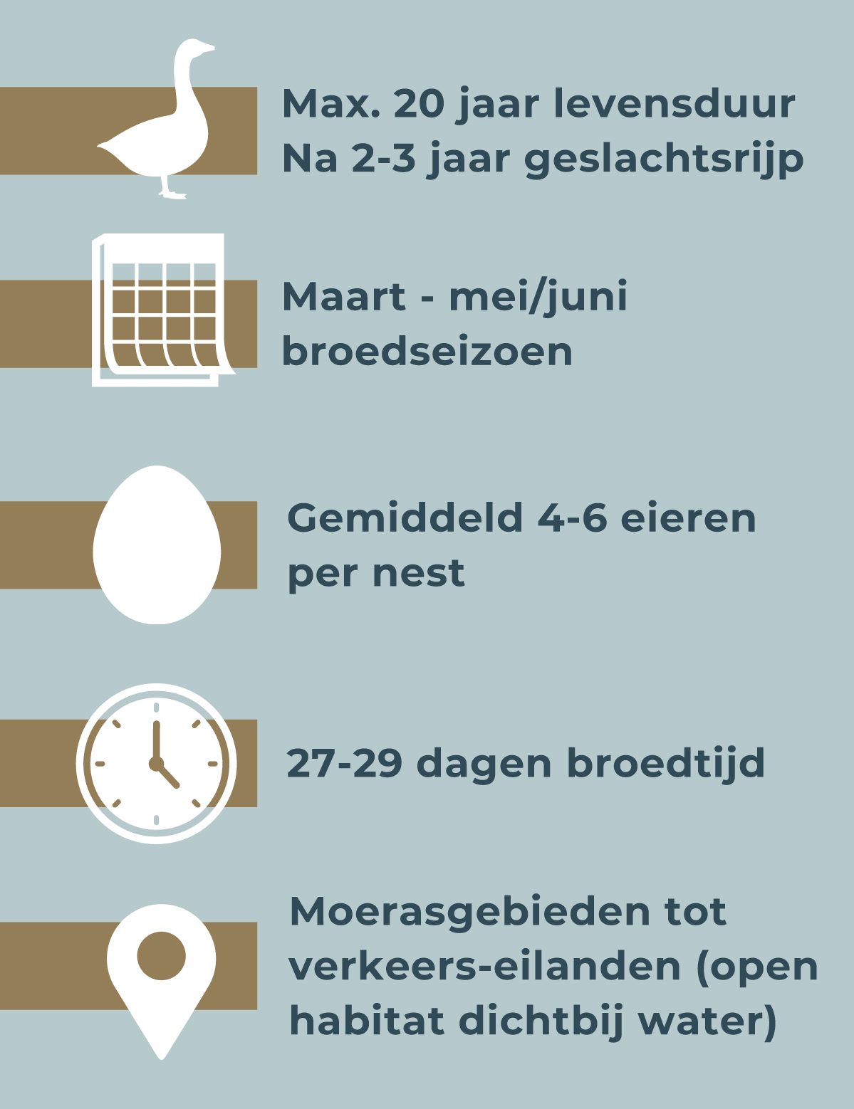 afbeelding07