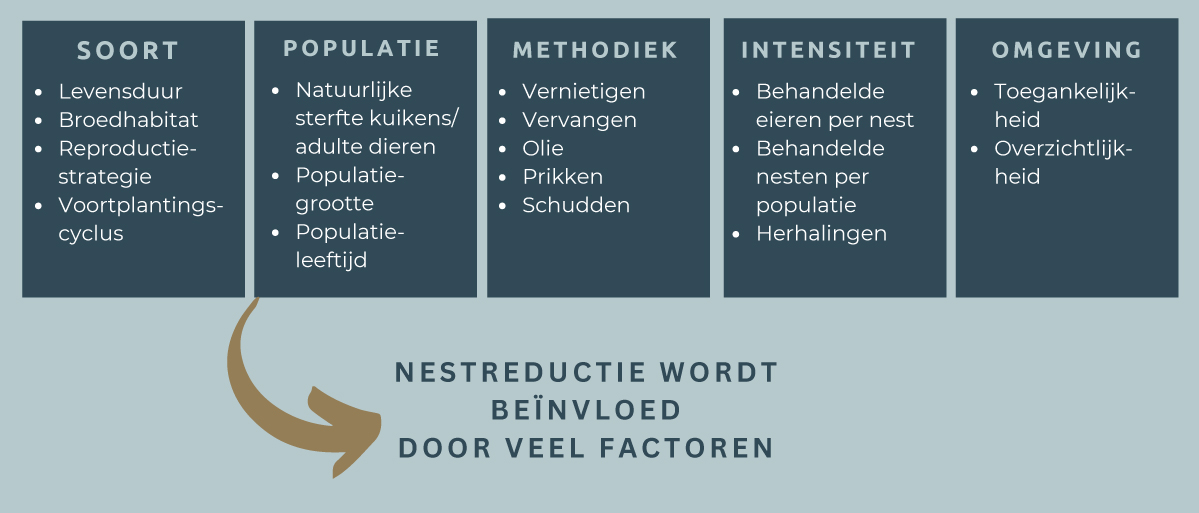 afbeelding08