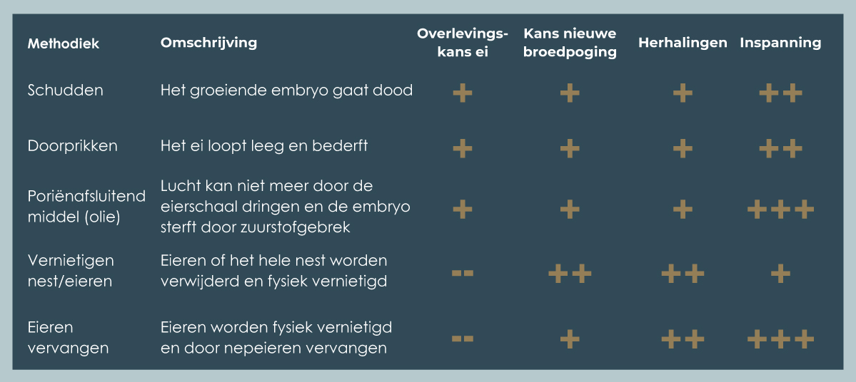 afbeelding09